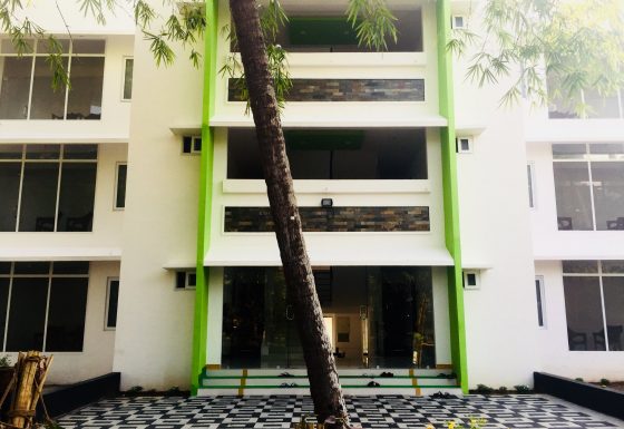 Rejuvanation Ayurveda Hospital