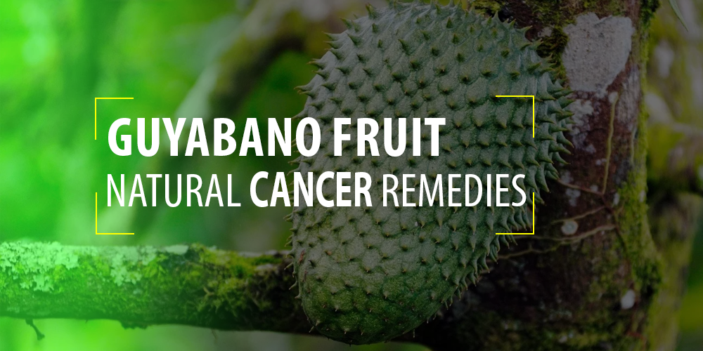 Guyabano Fruit Natural cancer remedies