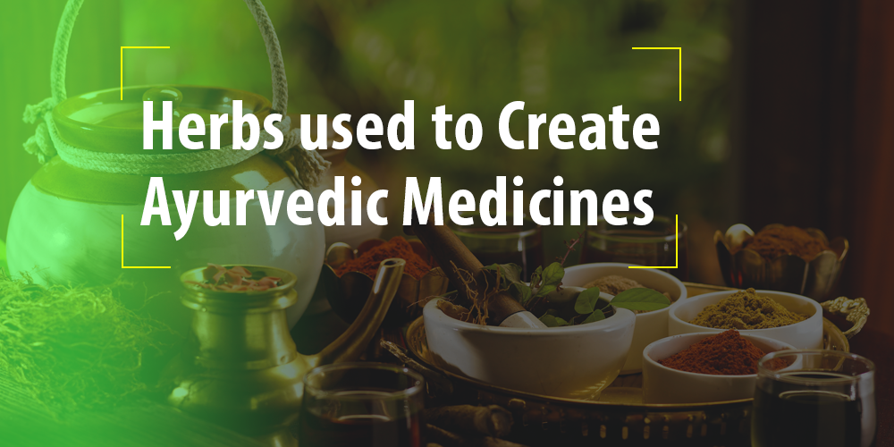 Common herbs to used to create Ayurvedic Medicines
