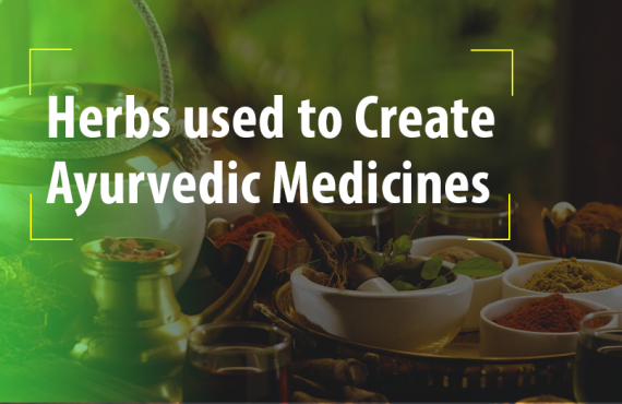 Common herbs to used to create Ayurvedic Medicines