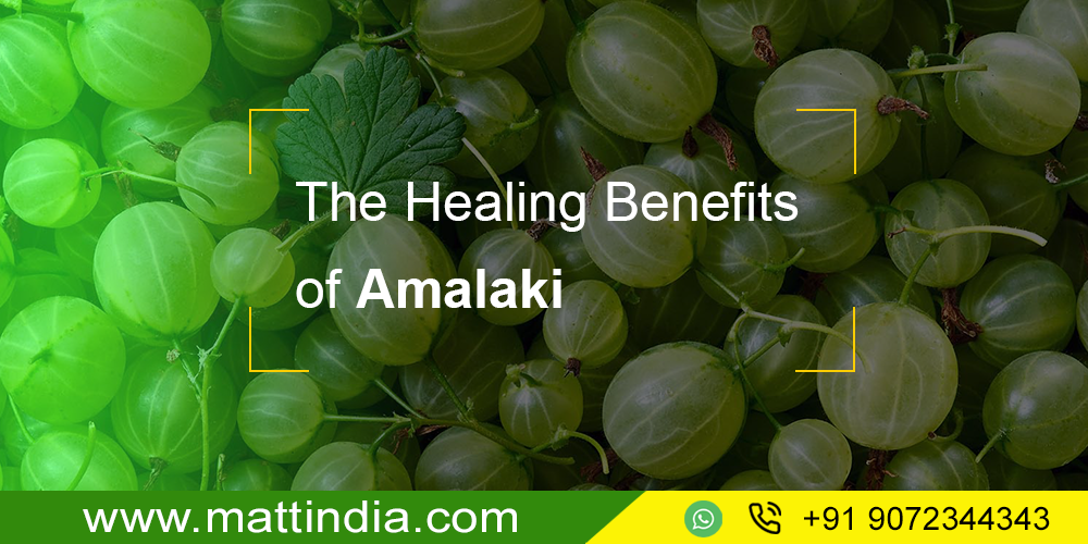 The Healing Benefits of Amalaki