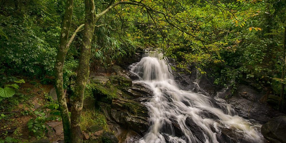 Charpa Falls a Tourist Attraction in Kerala
