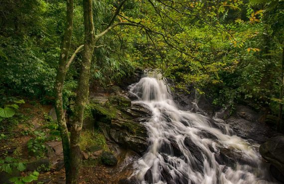 Charpa Falls a Tourist Attraction in Kerala