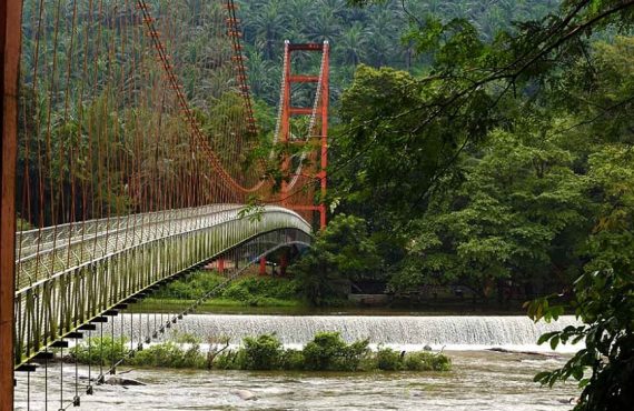 Thumboormuzhi Dam and Butterfly Park a Tourist Attraction in Kerala