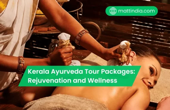 Kerala Ayurveda Tour Packages: Rejuvenation and Wellness