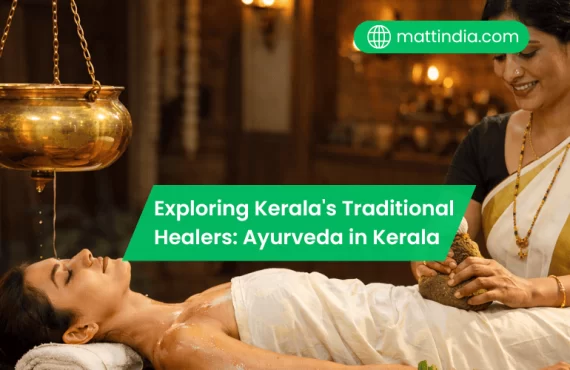 Exploring Kerala's Traditional Healers: Ayurveda in Kerala