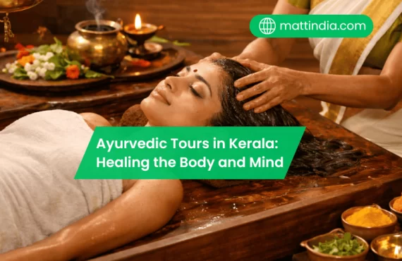 Ayurvedic Tours in Kerala: Healing the Body and Mind