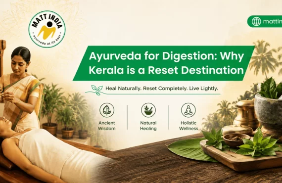 Ayurveda for Digestion: Why Kerala is a Reset Destination