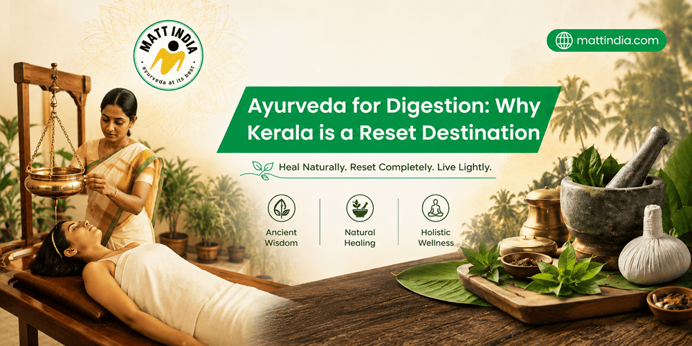 Ayurveda for Digestion: Why Kerala is a Reset Destination