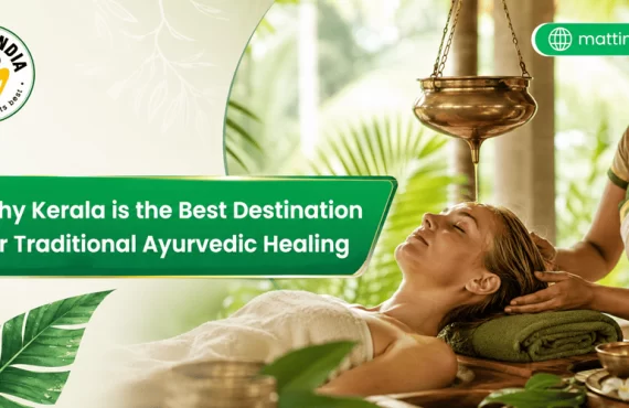 Why Kerala is the Best Destination for Traditional Ayurvedic Healing